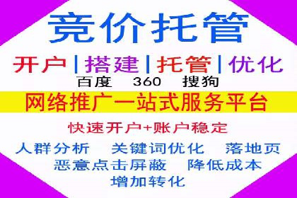 解析某某SEM服务公司的广告投放策略与效果评估
